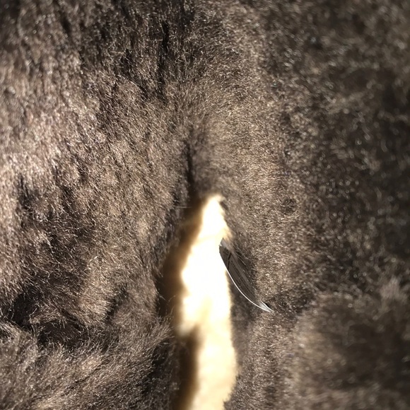 Ugg Short Bailey Buttons - Picture 3 of 6